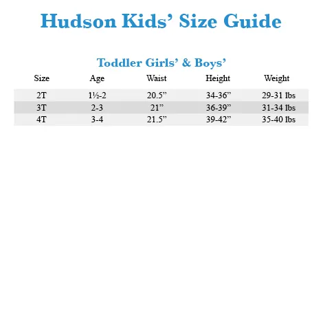 Hudson Kids High-Waist Moto Jegging in Black (Little Kids/Big Kids)